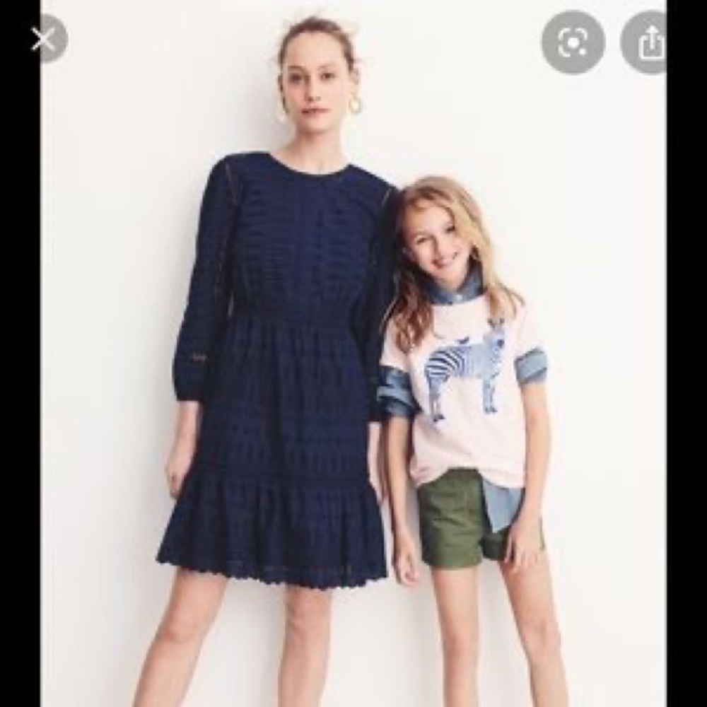 J crew long-sleeved eyelet dress